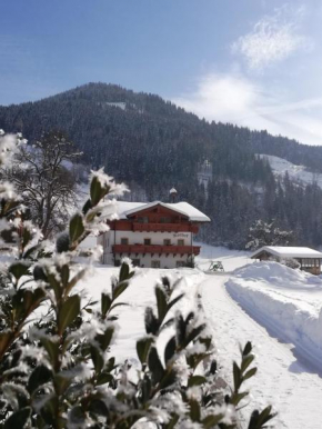 Гостиница Urlaub am BIO- Bauernhof Rothof  Санкт-Йоханн Им Понгау